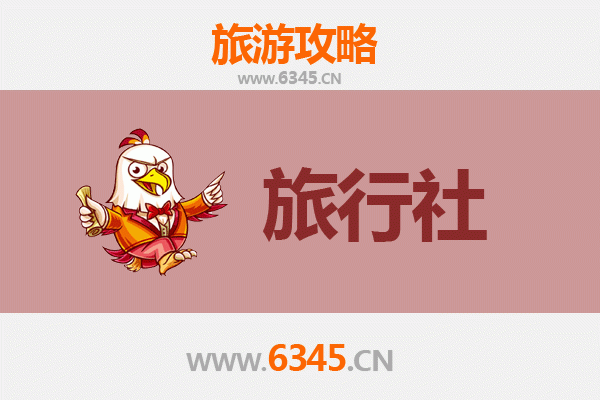 通辽扎鲁特草原旅游攻略：本地优质旅行社推荐与深度玩法